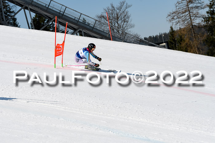 Team Parallelslalom Dt. Meisterschaft, 25.02.2022