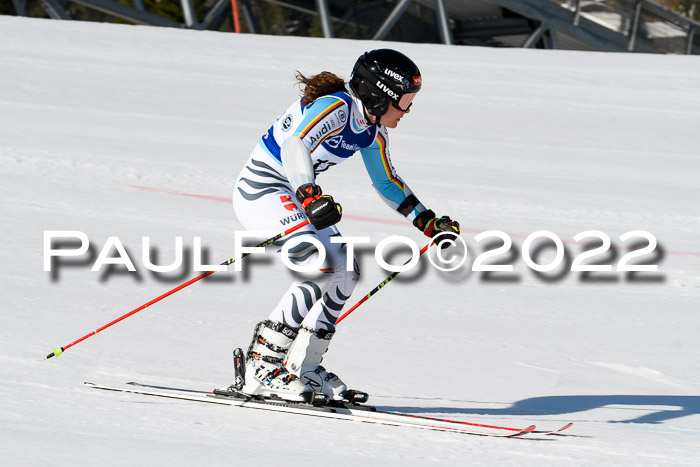 Team Parallelslalom Dt. Meisterschaft, 25.02.2022