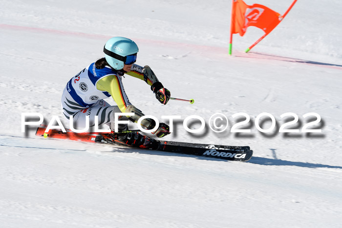 Team Parallelslalom Dt. Meisterschaft, 25.02.2022