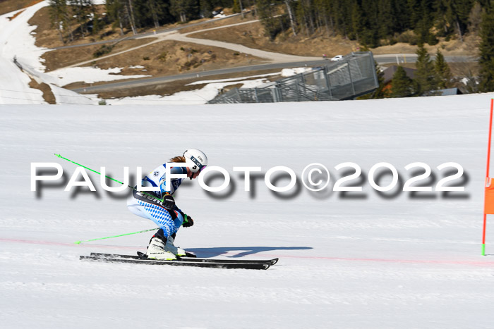 Team Parallelslalom Dt. Meisterschaft, 25.02.2022