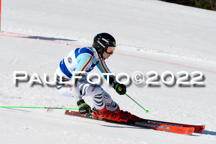 Team Parallelslalom Dt. Meisterschaft, 25.02.2022