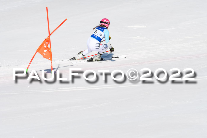Team Parallelslalom Dt. Meisterschaft, 25.02.2022