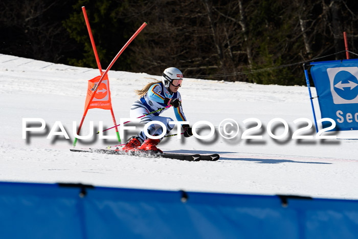 Team Parallelslalom Dt. Meisterschaft, 25.02.2022