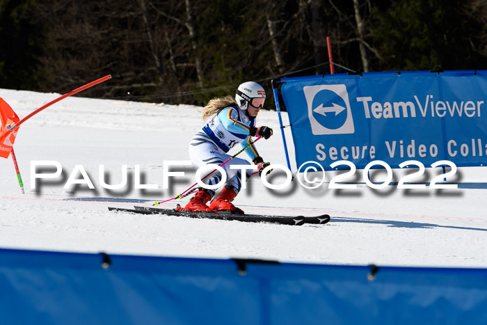 Team Parallelslalom Dt. Meisterschaft, 25.02.2022