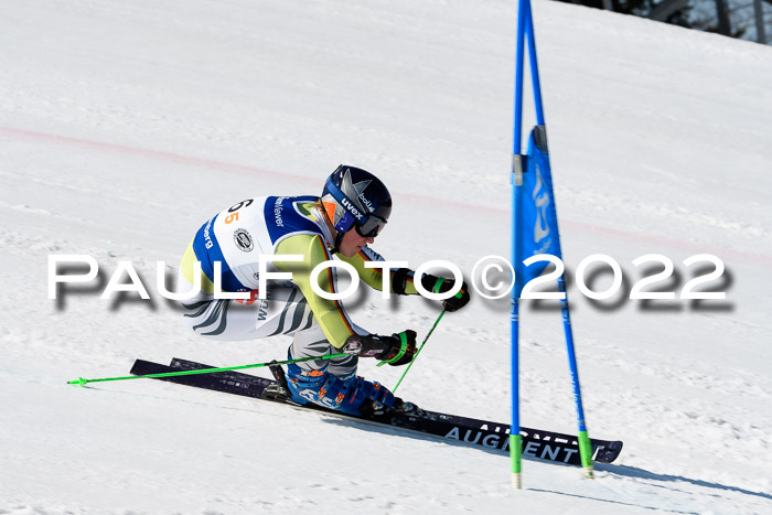 Team Parallelslalom Dt. Meisterschaft, 25.02.2022
