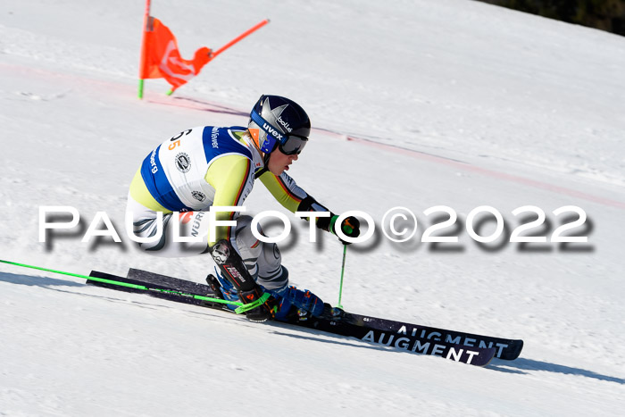 Team Parallelslalom Dt. Meisterschaft, 25.02.2022