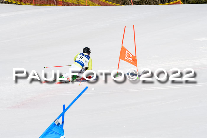 Team Parallelslalom Dt. Meisterschaft, 25.02.2022