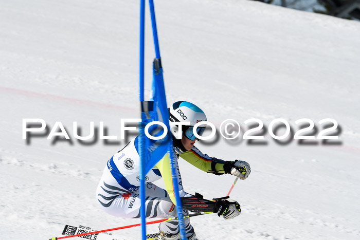 Team Parallelslalom Dt. Meisterschaft, 25.02.2022