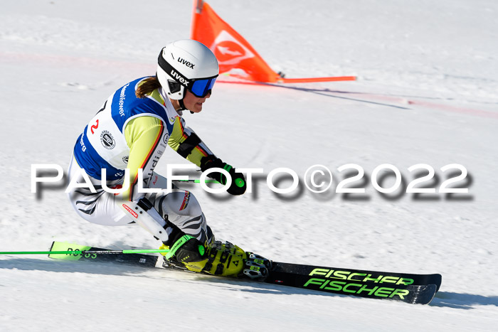 Team Parallelslalom Dt. Meisterschaft, 25.02.2022