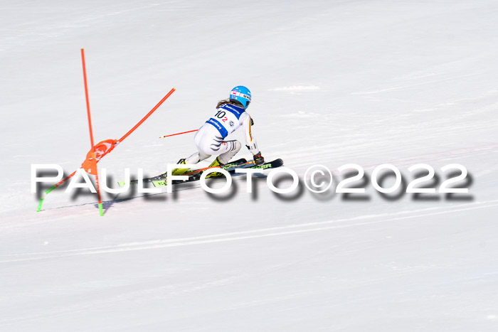 Team Parallelslalom Dt. Meisterschaft, 25.02.2022