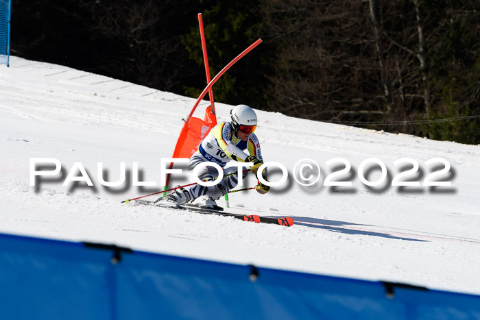 Team Parallelslalom Dt. Meisterschaft, 25.02.2022