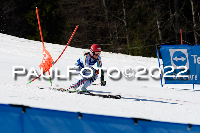 Team Parallelslalom Dt. Meisterschaft, 25.02.2022