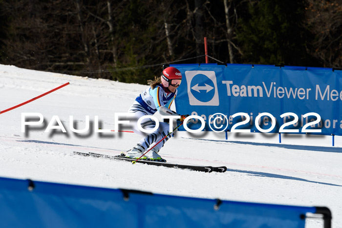 Team Parallelslalom Dt. Meisterschaft, 25.02.2022