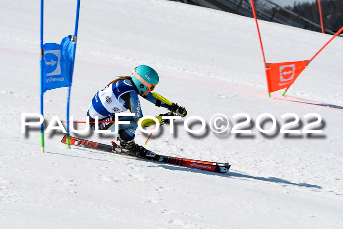 Team Parallelslalom Dt. Meisterschaft, 25.02.2022