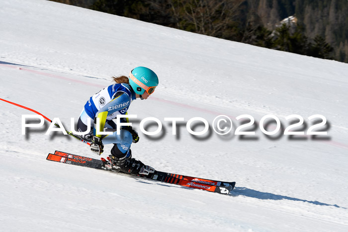 Team Parallelslalom Dt. Meisterschaft, 25.02.2022