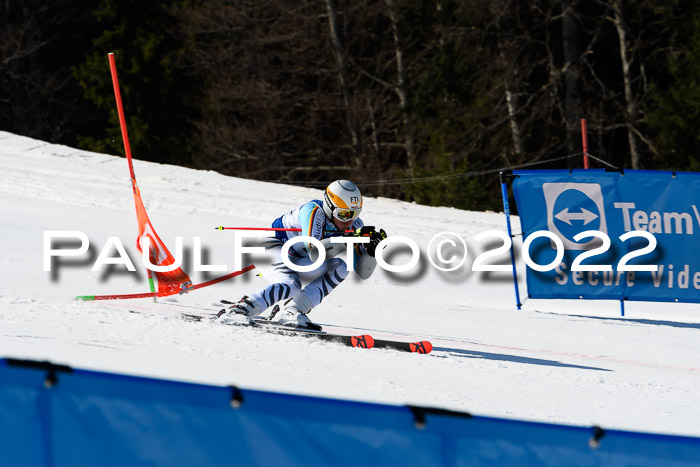 Team Parallelslalom Dt. Meisterschaft, 25.02.2022