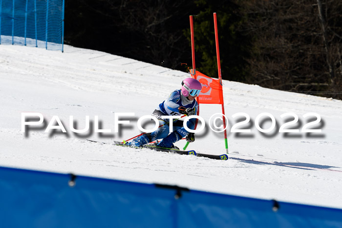 Team Parallelslalom Dt. Meisterschaft, 25.02.2022