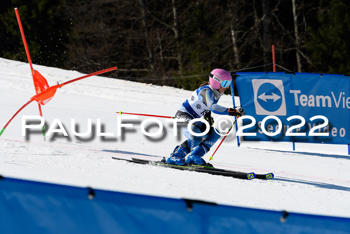 Team Parallelslalom Dt. Meisterschaft, 25.02.2022