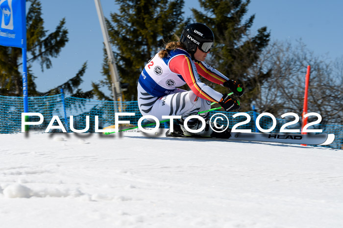 Team Parallelslalom Dt. Meisterschaft, 25.02.2022