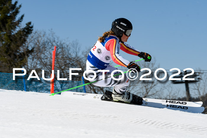 Team Parallelslalom Dt. Meisterschaft, 25.02.2022