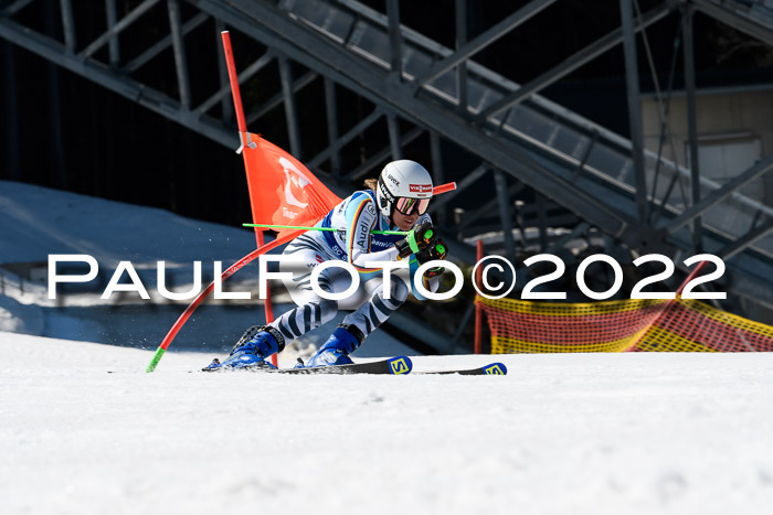 Team Parallelslalom Dt. Meisterschaft, 25.02.2022