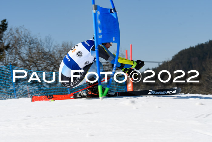 Team Parallelslalom Dt. Meisterschaft, 25.02.2022