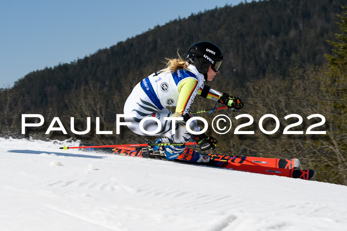 Team Parallelslalom Dt. Meisterschaft, 25.02.2022