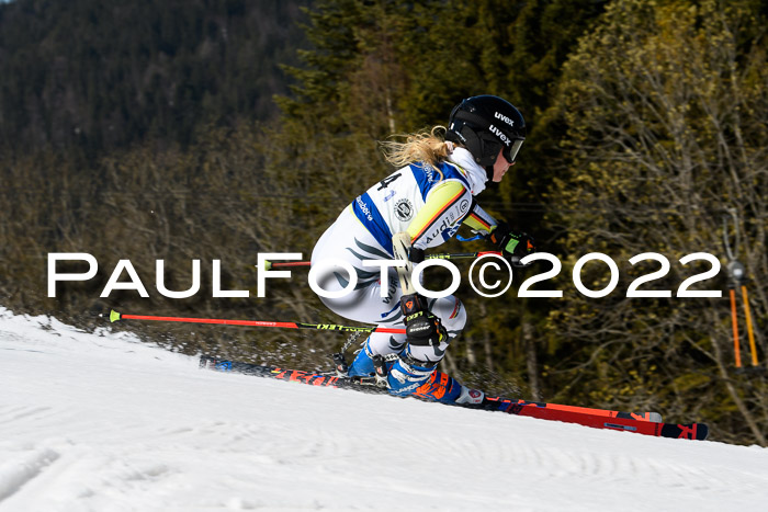 Team Parallelslalom Dt. Meisterschaft, 25.02.2022