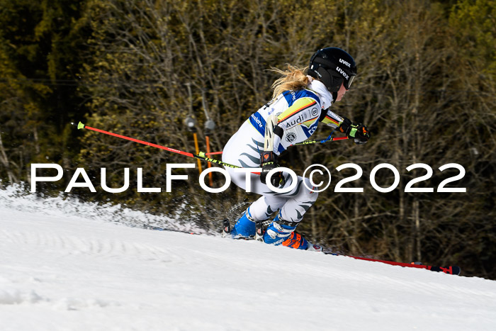 Team Parallelslalom Dt. Meisterschaft, 25.02.2022