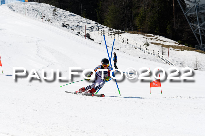 Team Parallelslalom Dt. Meisterschaft, 25.02.2022