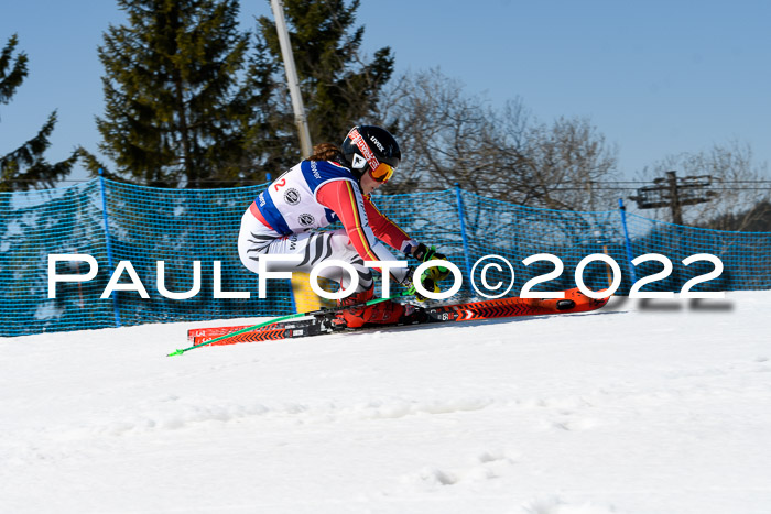 Team Parallelslalom Dt. Meisterschaft, 25.02.2022