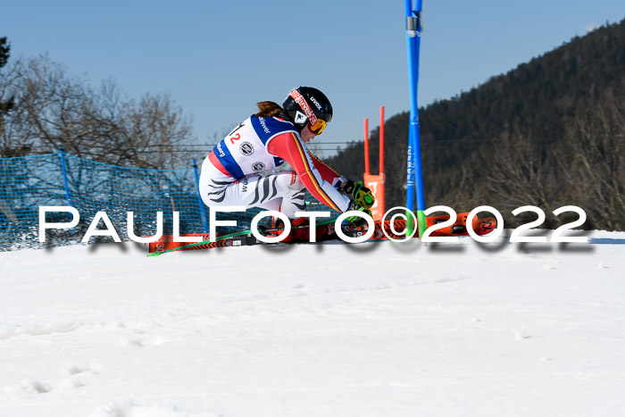 Team Parallelslalom Dt. Meisterschaft, 25.02.2022