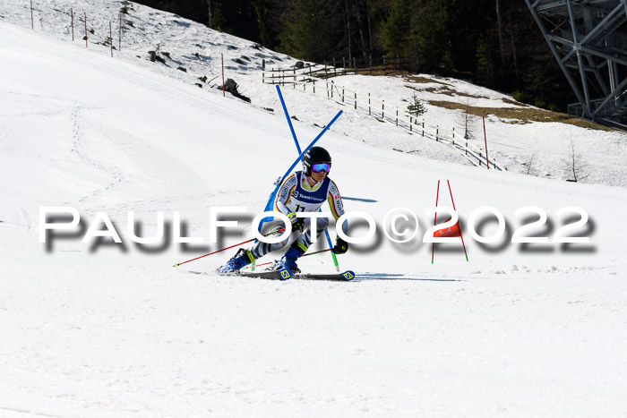 Team Parallelslalom Dt. Meisterschaft, 25.02.2022