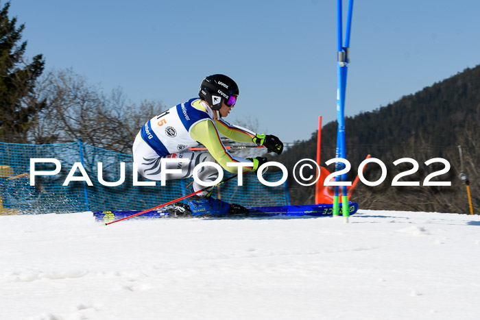 Team Parallelslalom Dt. Meisterschaft, 25.02.2022