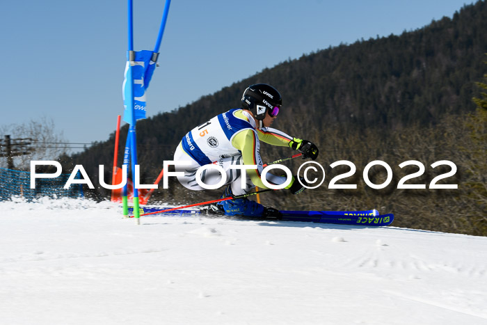 Team Parallelslalom Dt. Meisterschaft, 25.02.2022