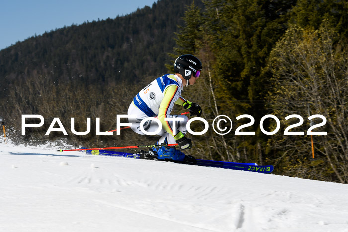 Team Parallelslalom Dt. Meisterschaft, 25.02.2022