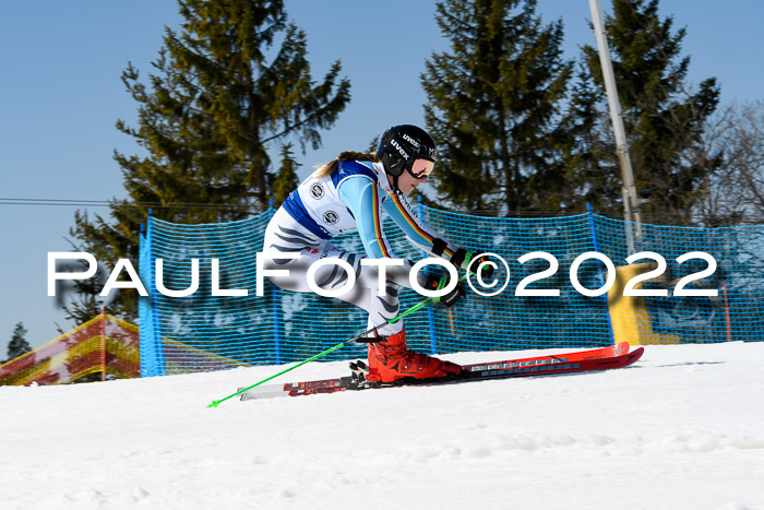 Team Parallelslalom Dt. Meisterschaft, 25.02.2022