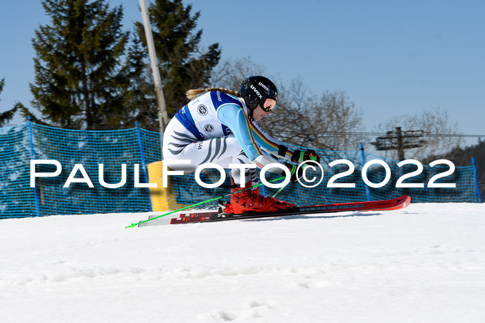 Team Parallelslalom Dt. Meisterschaft, 25.02.2022