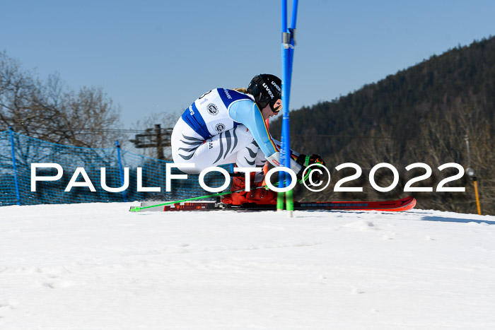 Team Parallelslalom Dt. Meisterschaft, 25.02.2022