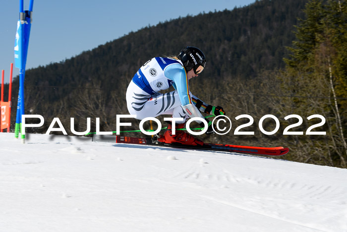 Team Parallelslalom Dt. Meisterschaft, 25.02.2022