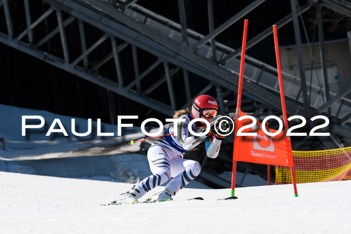 Team Parallelslalom Dt. Meisterschaft, 25.02.2022