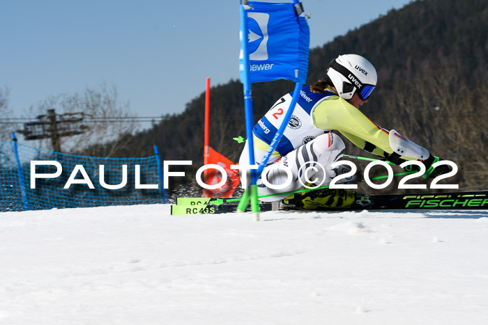 Team Parallelslalom Dt. Meisterschaft, 25.02.2022