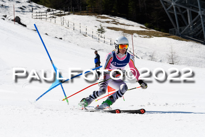 Team Parallelslalom Dt. Meisterschaft, 25.02.2022