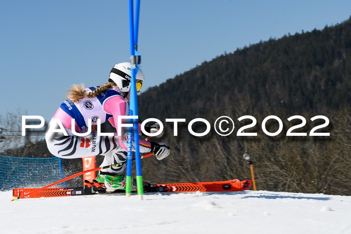 Team Parallelslalom Dt. Meisterschaft, 25.02.2022