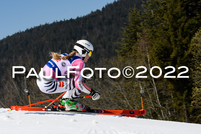 Team Parallelslalom Dt. Meisterschaft, 25.02.2022