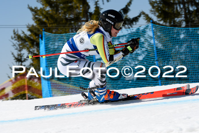 Team Parallelslalom Dt. Meisterschaft, 25.02.2022