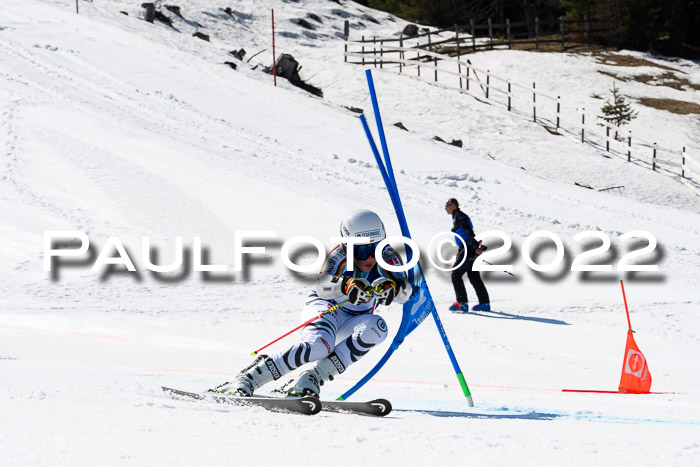 Team Parallelslalom Dt. Meisterschaft, 25.02.2022