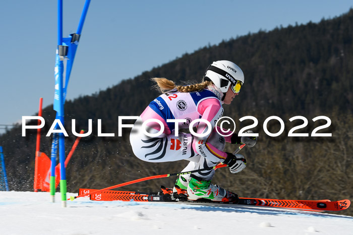 Team Parallelslalom Dt. Meisterschaft, 25.02.2022