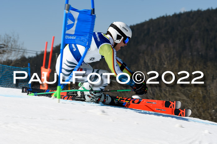 Team Parallelslalom Dt. Meisterschaft, 25.02.2022