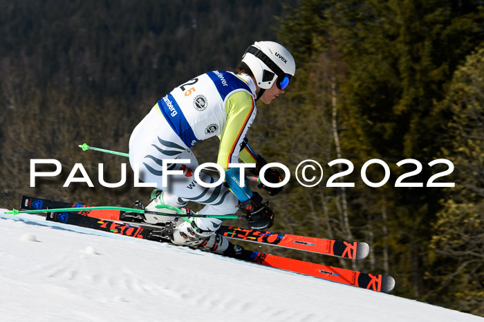 Team Parallelslalom Dt. Meisterschaft, 25.02.2022